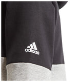 Adidas Boys linear Colorblock Hoodie - Valley Sports UK