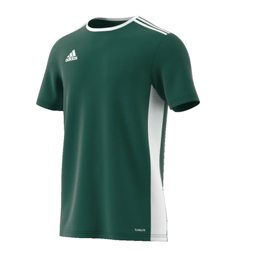 Adidas Boys Entrada T Shirt - Valley Sports UK