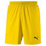 Puma Football Men's LIGA Core Shorts - Valley Sports UK